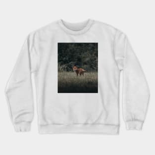 Red fox 2 Crewneck Sweatshirt